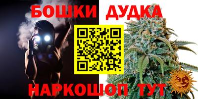 молекула духа Славгород