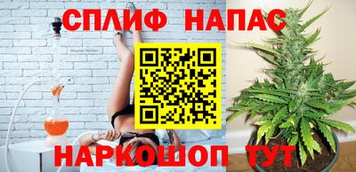 хмурый Сланцы