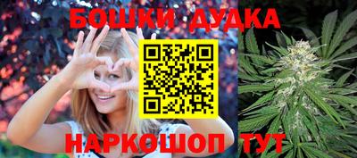 хмурый Сланцы