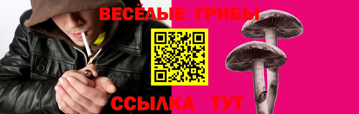 Галлюциногенные грибы Magic Shrooms  Галлюциногенные грибы GOLDEN TEACHER  Вход с VPN  Прохладный 